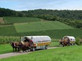 Zwei Wagen auf Tour | Bild 1