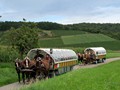 Zwei Wagen auf Tour | Bild 2