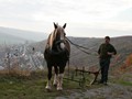 Gerhard und Robin im Weinberg | Bild 7